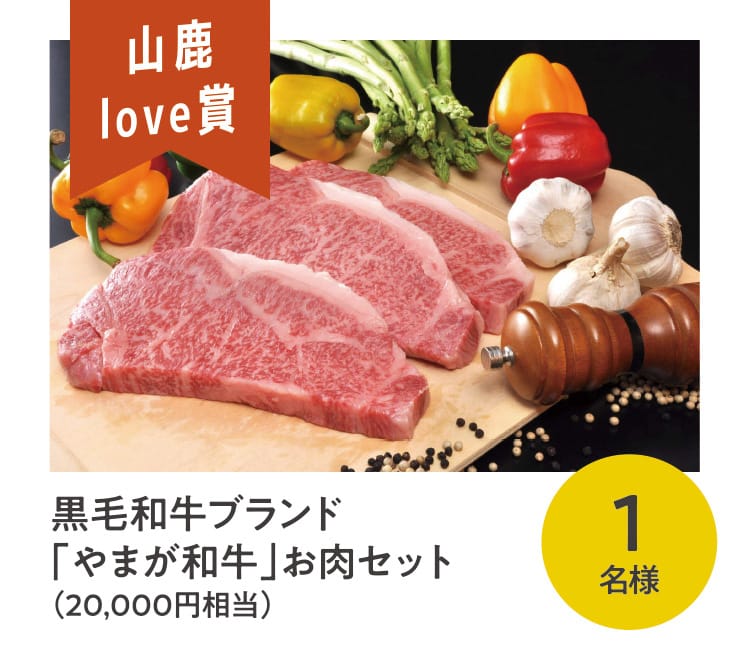 山鹿love賞 黒毛和牛ブランド「やまが和牛」お肉セット（2万円相当）1名様